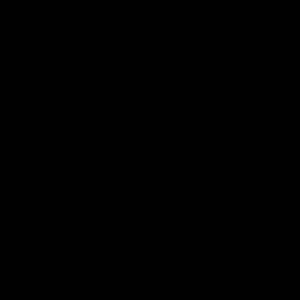 Meet your Posher, Aliyah